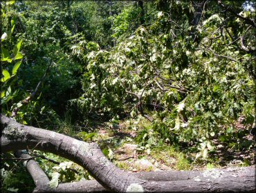 Example of terrain at Rocky Run ATV Trail