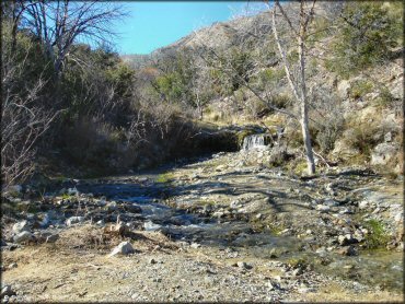 Scenic view of Mt. Lemmon Control Road Trail