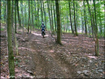 Honda CRF Dirt Bike at Tall Pines ATV Park Trail