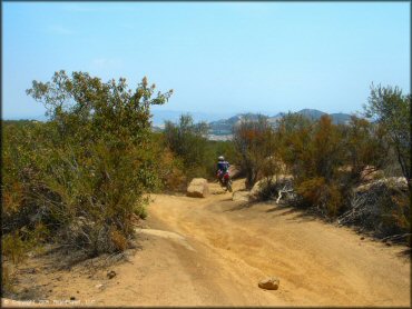 A scenic portion of the ATV trail surrounded by scrub brush.