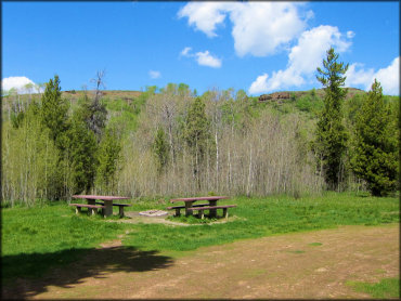 Scenic photo of two picnic tables and fire ring surrounded by grassy parking, pine and aspen trees.