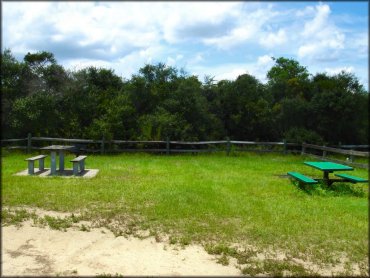 Campsite with picnc tables and fire ring.