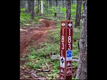 A trail at Hood River County OHV Trails