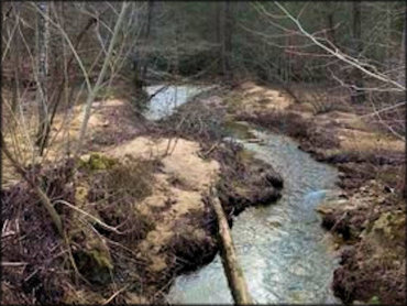 Tackett Creek Trails