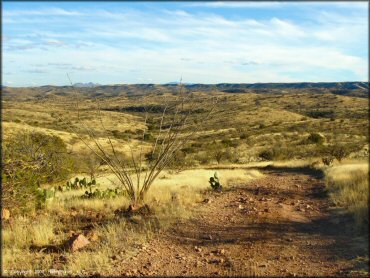 Example of terrain at Santa Rita OHV Routes Trail