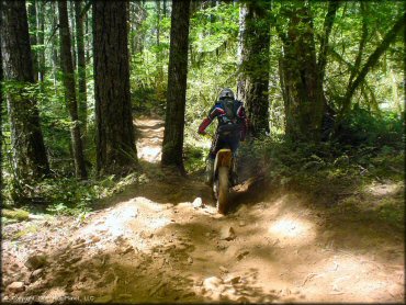 OHV at Upper Nestucca Motorcycle Trail System