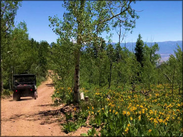 Sanpitch OHV Trail