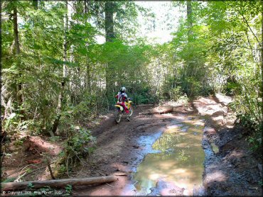 Woman on a OHV at Upper Nestucca Motorcycle Trail System