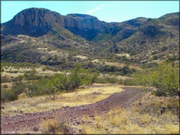 Scenic view of Red Springs Trail