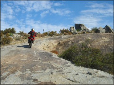 Man riding Honda CRF250X navigating short uphill section of 4x4 trail made of solid rock.