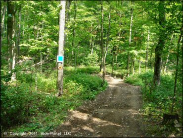 Example of terrain at Tall Pines ATV Park Trail