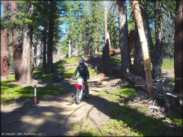 Genoa Peak Trail