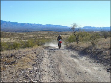 Honda CRF Motorcycle doing a wheelie at Red Springs Trail