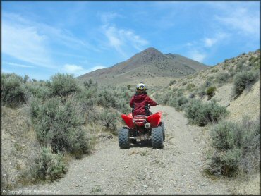 OHV at Blue Mountain Trail