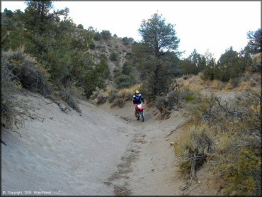 Honda CRF Dirtbike at Mount Seigel OHV Trails