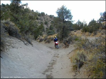 Honda CRF Dirt Bike at Mount Seigel OHV Trails