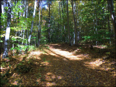 Valley View Walking Trails