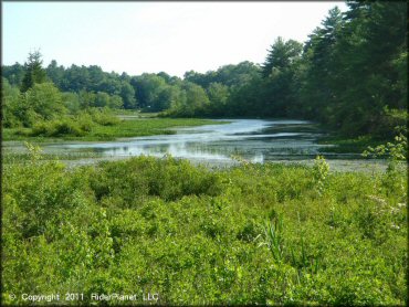 Pachaug State Forest Trail