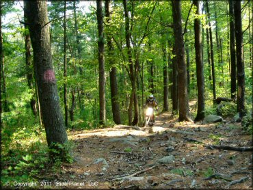 OHV at F. Gilbert Hills State Forest Trail