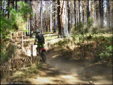 Honda CRF Motorbike at Elkins Flat OHV Routes Trail