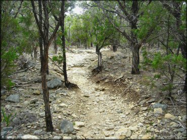 Example of terrain at Emma Long Metropolitan Park Trail