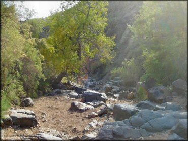 Some terrain at Log Corral Canyon Trail