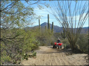 OHV at Log Corral Canyon Trail