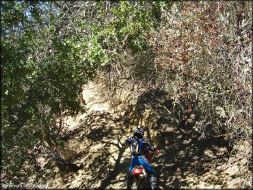 Honda CRF Motorcycle at Santa Clara County Motorcycle Park OHV Area