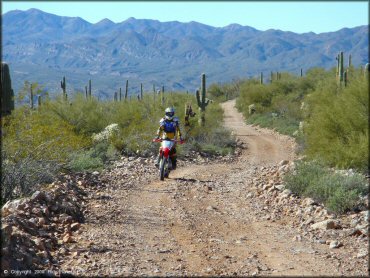 Mescal Mountain OHV Area Trail