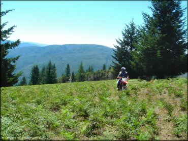 Girl riding a OHV at High Dome Trail
