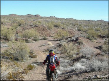 Honda CRF Off-Road Bike at Standard Wash Trail