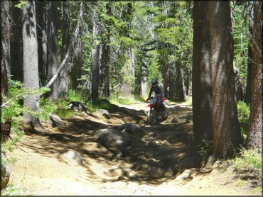 Honda CRF Dirt Bike at Lower Blue Lake Trail