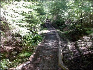A trail at Blue Ridge Trails