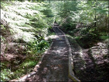 Example of terrain at Blue Ridge Trails