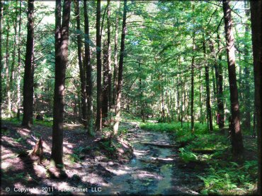 Some terrain at Camden ATV Trail