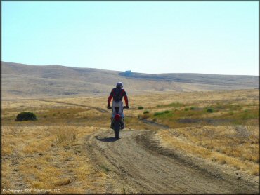Honda CRF Dirt Bike at Jasper Sears OHV Area Trail