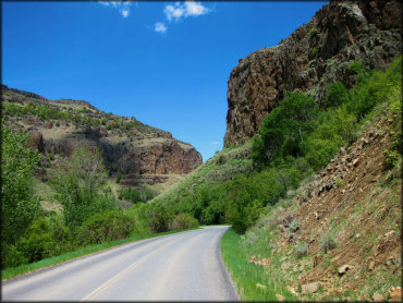 Scenic photo of paved highway surrounded by various green trees and rugged canyons in the background.
