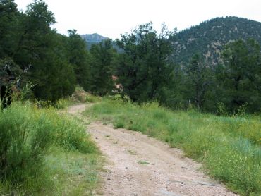 Texas Creek Trail