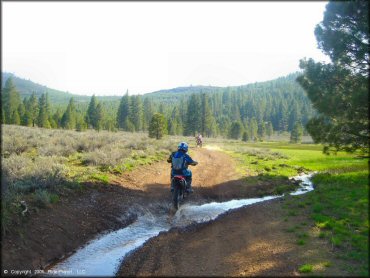 Honda CRF Dirt Bike in the water at Boca Reservoir Trail