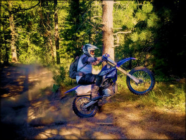 Idaho City Trail