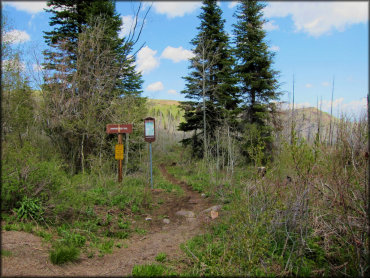 Scenic view of hiking trail with signage and trail map.