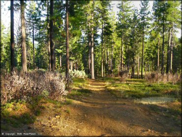 Some terrain at Interface Recreation Trails