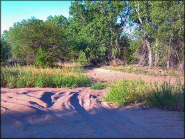 Some terrain at The River ATV Park Trail