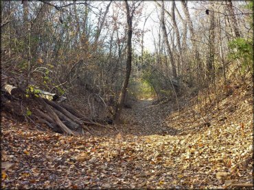 School Creek ORV Area Trail