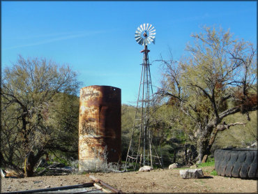 A scenic photo of an old wind mill surrounded by various desert trees and scattered debris.