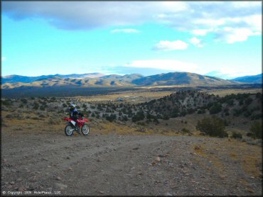 Honda CRF Dirt Bike at Mount Seigel OHV Trails