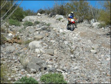 Honda CRF Motorcycle at Mescal Mountain OHV Area Trail