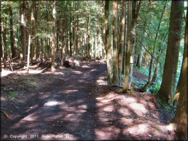 Example of terrain at Camden ATV Trail