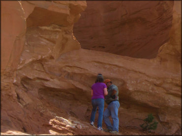 Hook and Ladder OHV Trails