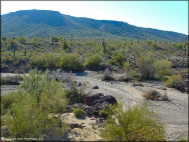 Scenic view of 4x4 trail surrounded by saguaro cactuses and scrub brush.